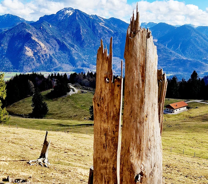 Blick von der Staffn Alm in die Chiemgauer Bergwelt