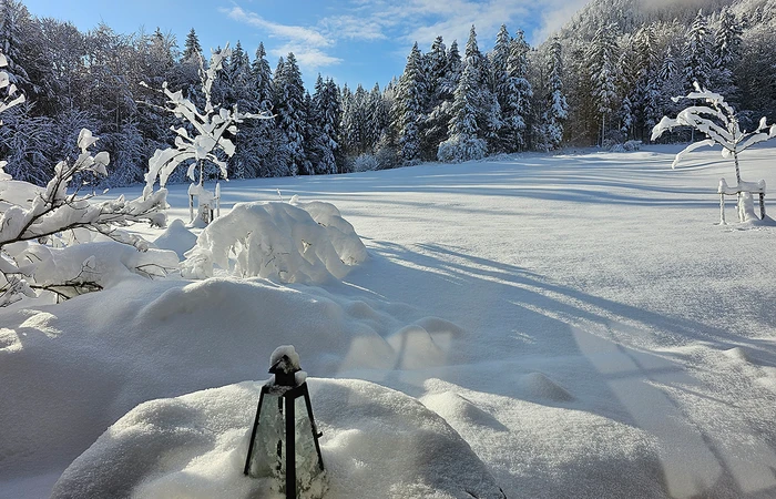 Winterlandschaft Beim Waicher Chiemgauer Alpen
