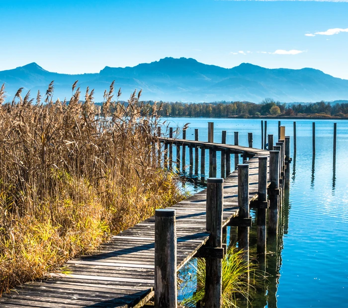 Ein Steg am Chiemsee, rechts in Schilf zu sehen mit Blick in die Chiemgauer Alpen.