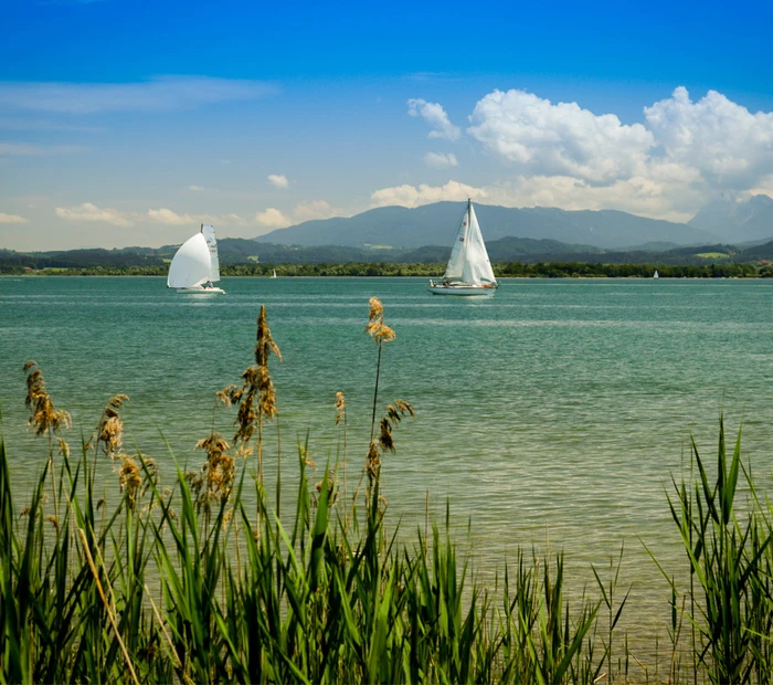 Der Chiemsee Blick auf Segelbote und den Chiemgauer Alpen.