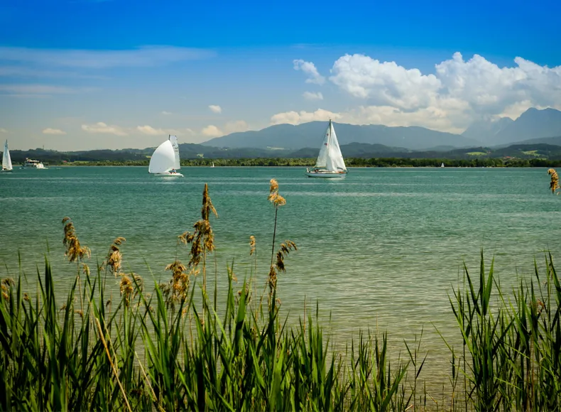 Der Chiemsee Blick auf Segelbote und den Chiemgauer Alpen.