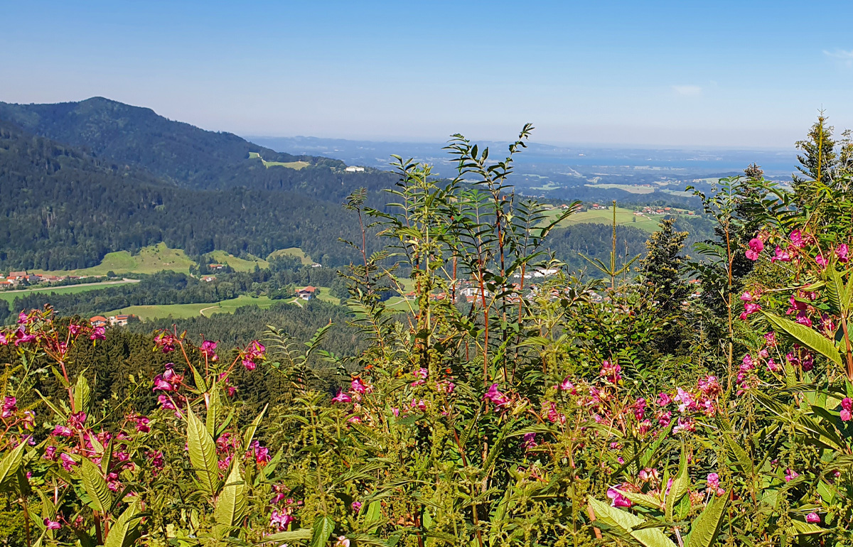 Blick vom Zinnkopf in Richtung Siegsdorf-Chiemsee