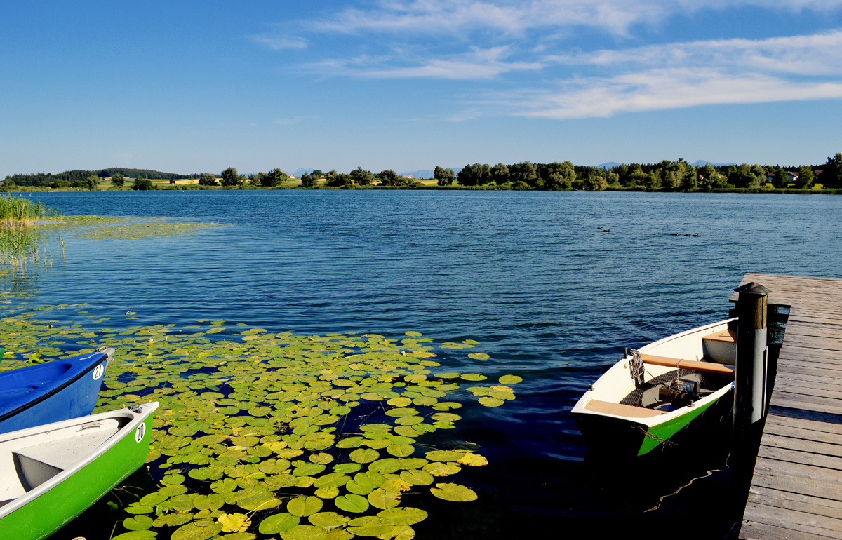 Vom Steg aus blicken Sie auf den Obinger See mit Ruderbooten.