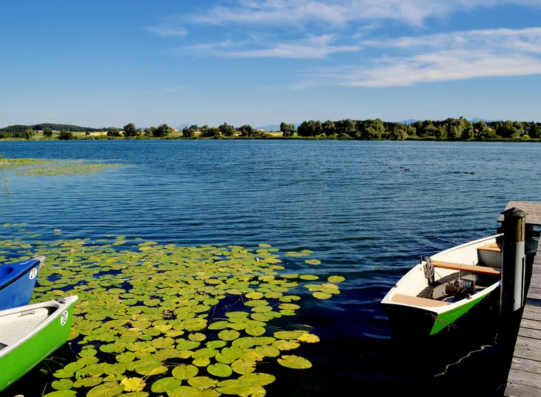 Vom Steg aus blicken Sie auf den Obinger See mit Ruderbooten.