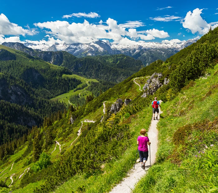 Nordic Walking Chiemgauer Alpen