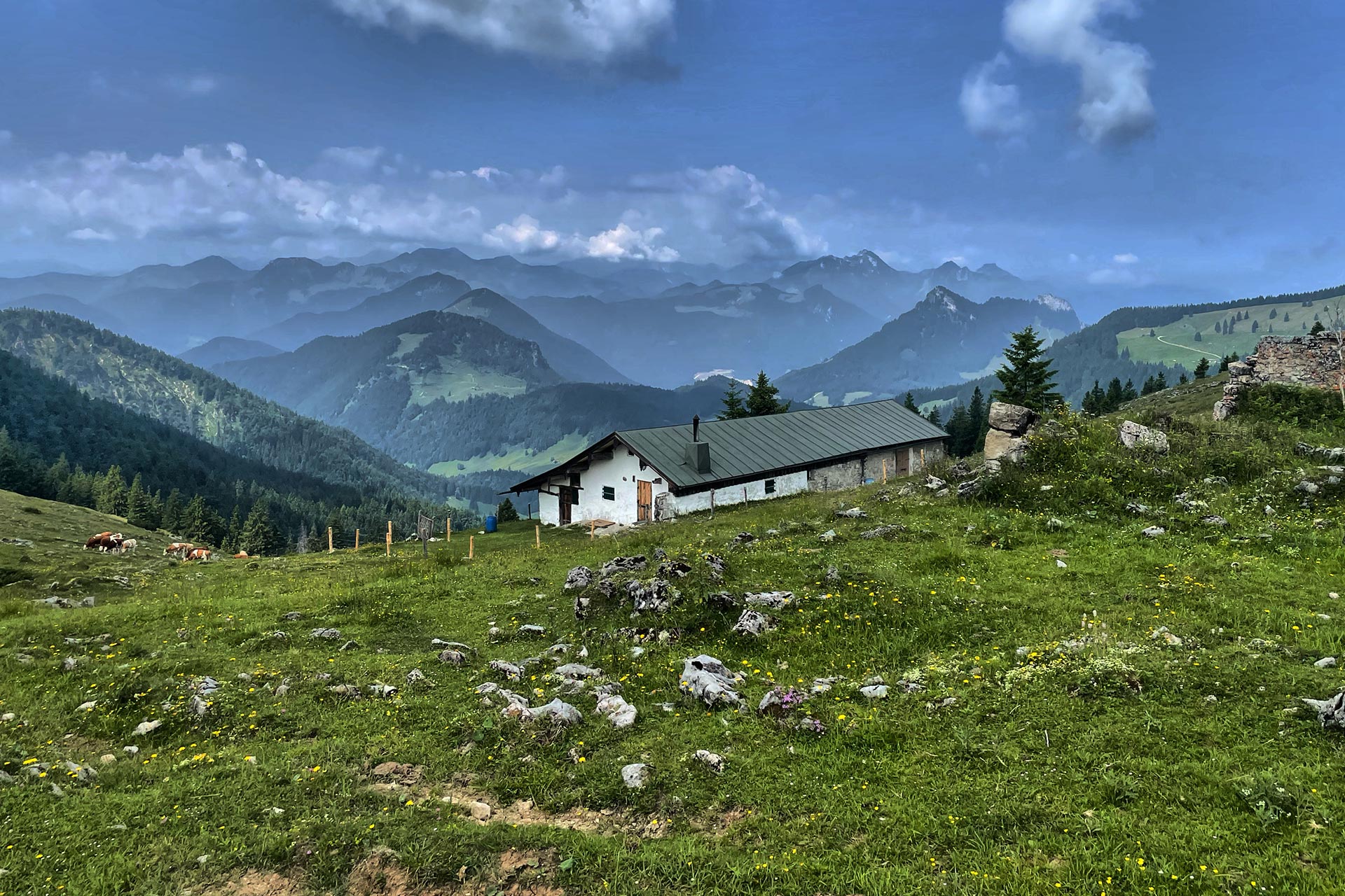 Almhütte auf einer Hochebene im Spitzsteingebiet Chiemgauer Alpen