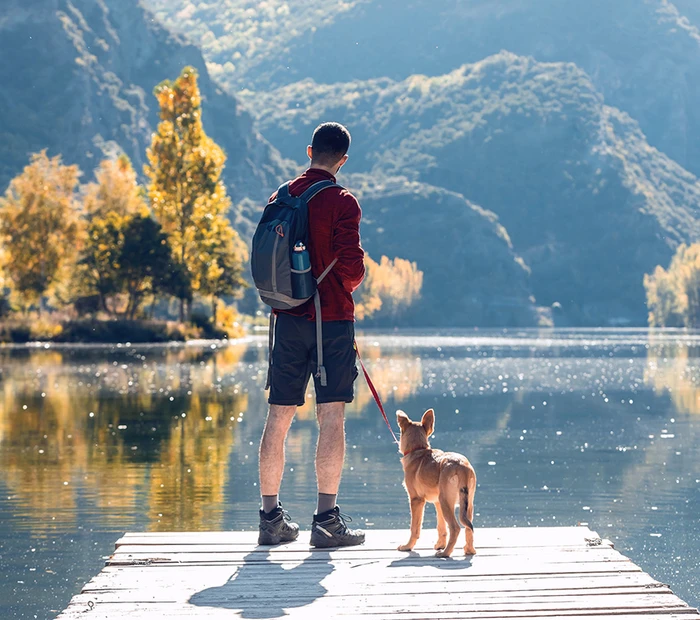 Spaziergang mit Hund im Seengebiet Chiemsee
