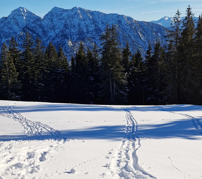 Winterwandern auf den Unternberg bei Ruhpolding– Panoramablick inklusive