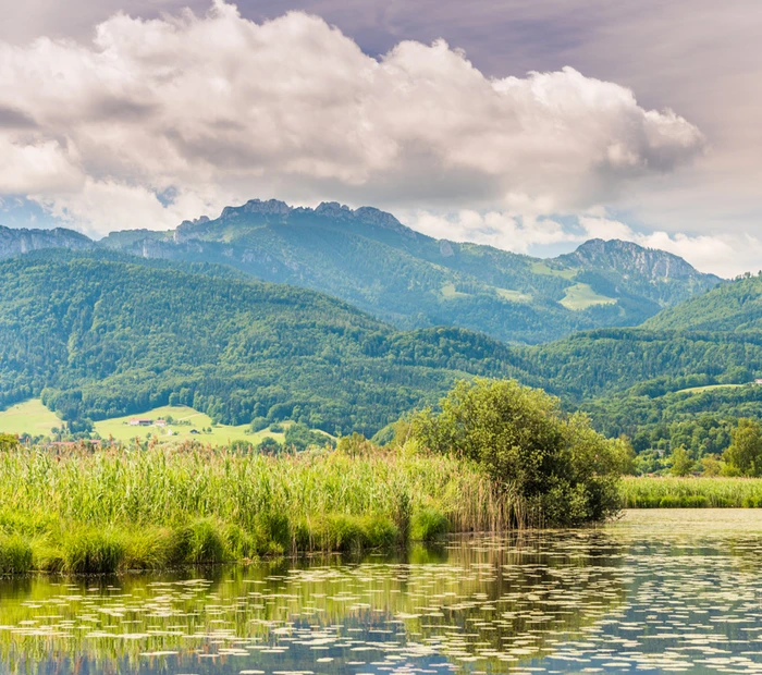 Blick vom Chiemseeufer in die Chiemgauer Alpen.