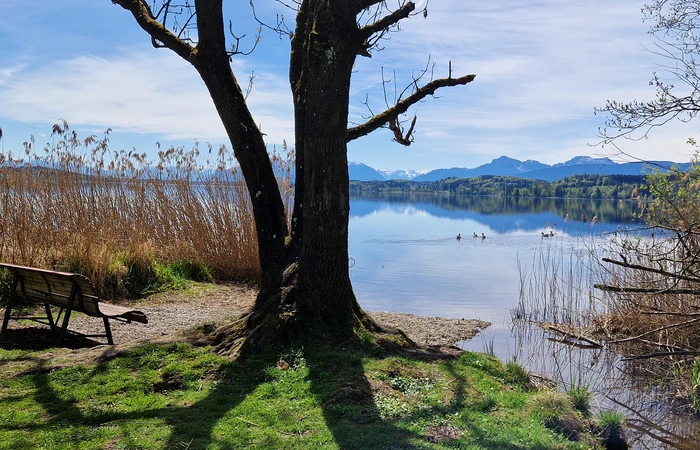 Unser privater Strand am Waginger See