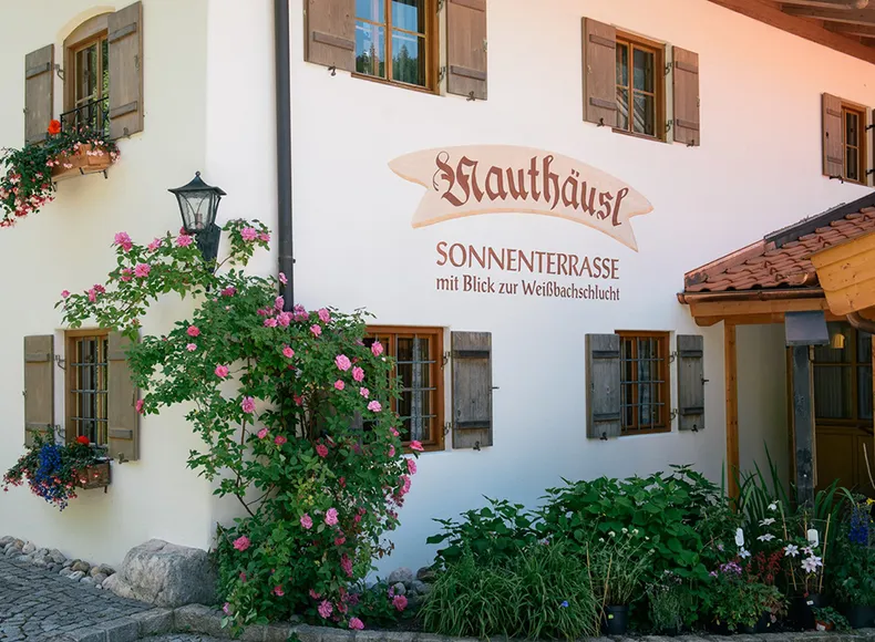 Blick auf die Fassade am Eingang mit Rosenstrauch