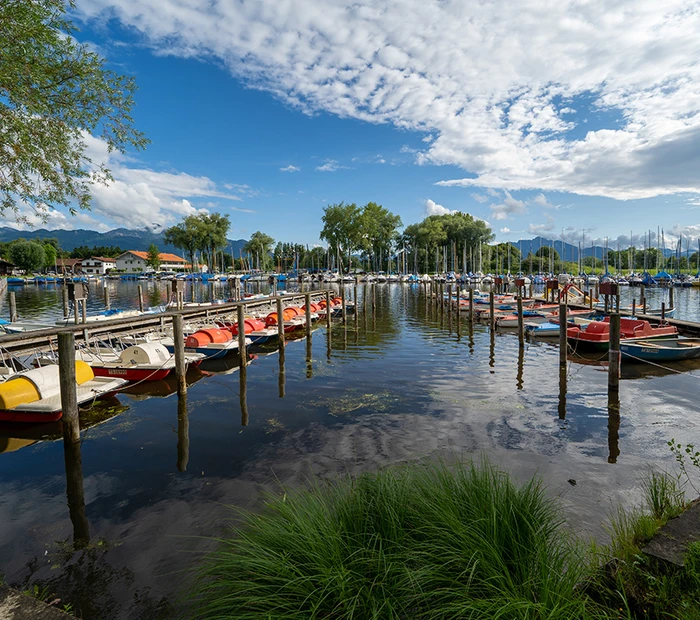 Chiemsee Radweg in Feldwies