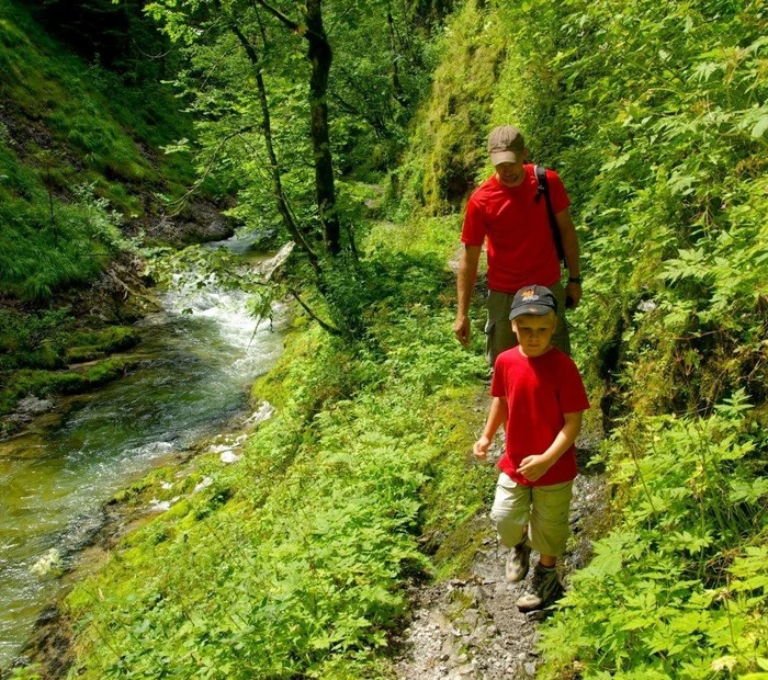 Wanderung entlang der Weißbachschlucht