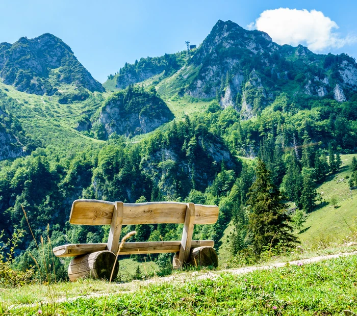 Zwischen Mittelstation Hochfellnbahn und der Bründlingalm steht eine Bank mit Blick auf den Hochfelln.