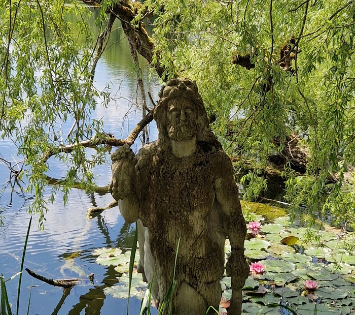 Seeoner See - idylisches Ufer mit Seerosen und Neptun