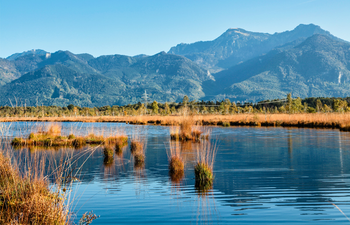 Blick über das Kendlmühlfilz in die Chiemgauer Bergwelt.
