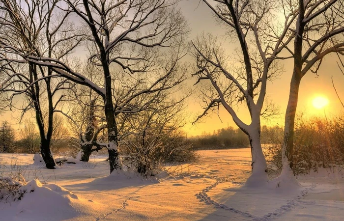 Winterspaziergang in verschneiter Winterlandschaft im Sonnenuntergang