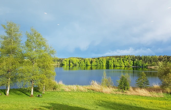 Blick auf den Pelhamer See im Frühling