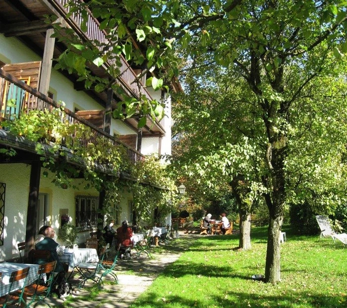 Garten mit bestuhlter Terrasse und Blick auf die Balkone