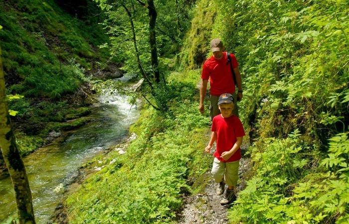 Wanderung in der Weißbachschlucht