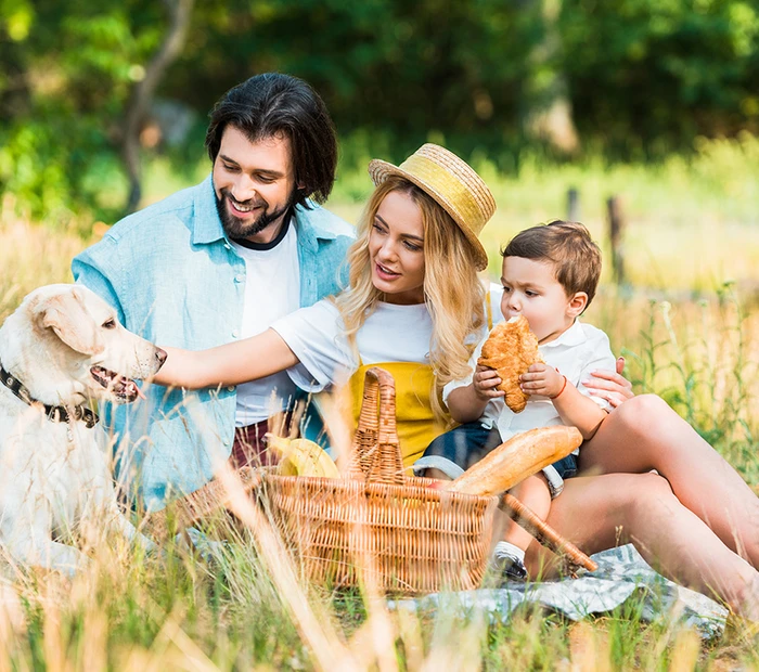 Familienpicknick mit Hund im Chiemgau