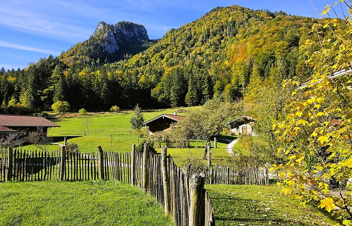 Chiemgauer Alpen & die Alpenchaltes im Herbst