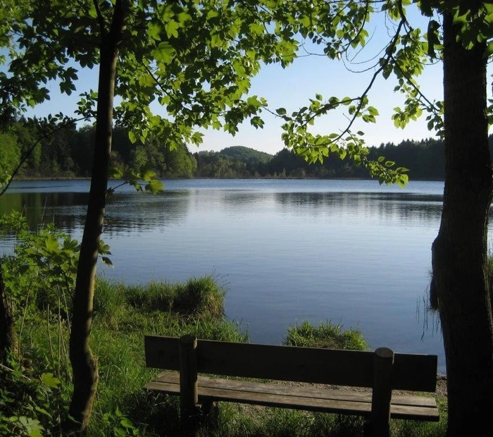 Blick von einem Bankerl am See auf den hauseigenen Badesee